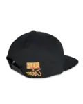 FDF-993 02 Retro (Snapback) 001 (Web)